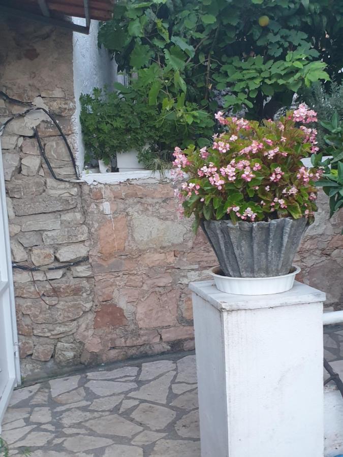 Sarandë Rosemary House 게스트하우스 외부 사진
